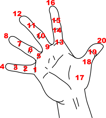 Hand Diagram